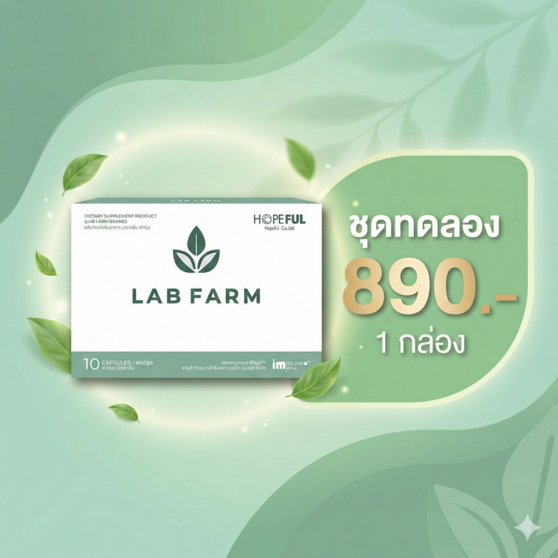 ชุดเริ่มต้น...ลองทาน