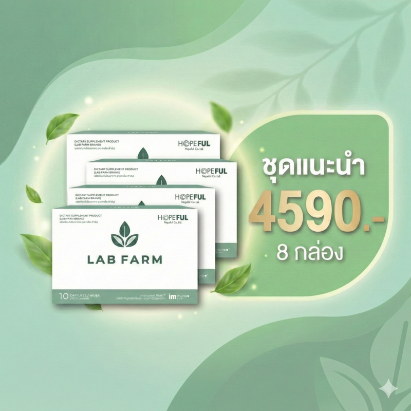 ชุดแนะนำ...ดูแลและยะยำ