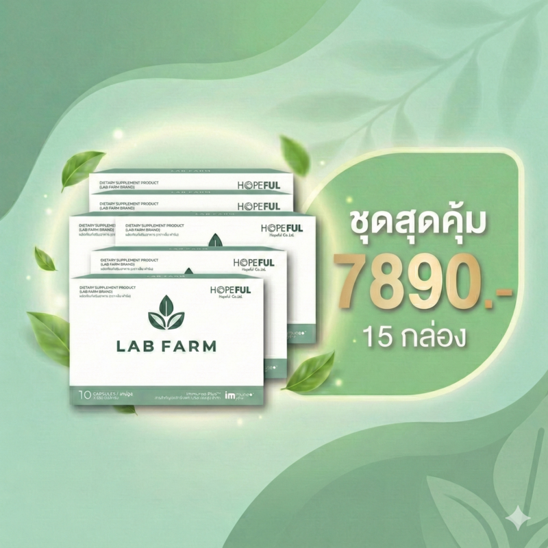 ชุดใหญ่...สำหรับครอบครัว